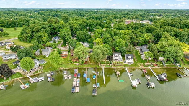 5390 Parkwood Ct, Manitou Beach, MI 49253 - bird's eye view of a forest and a nearby body of water