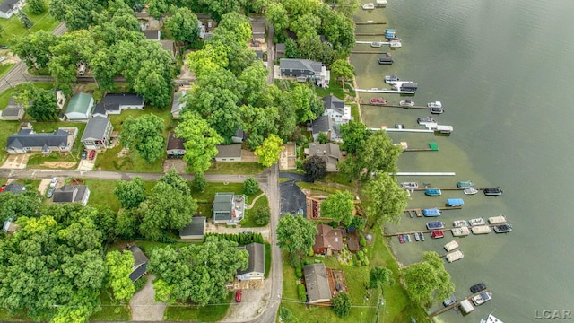 5390 Parkwood Ct, Manitou Beach, MI 49253 - view of property location featuring a large body of water and nearby suburban area