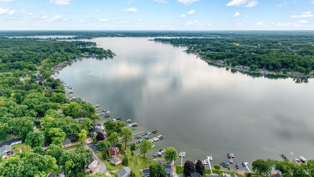 5390 Parkwood Ct, Manitou Beach, MI 49253 - aerial view of a nearby body of water
