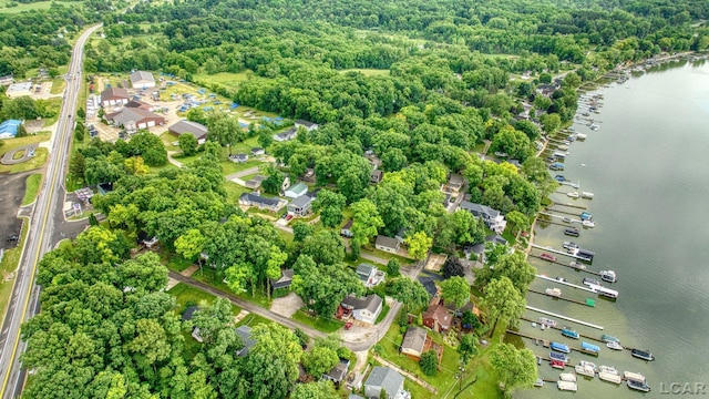 5390 Parkwood Ct, Manitou Beach, MI 49253 - bird's eye view of a large body of water and a forest