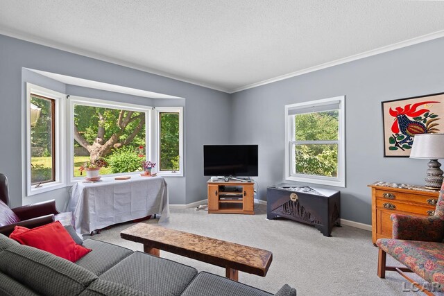 1044 Michigan Ave, Adrian, MI 49221 - living area featuring carpet flooring, crown molding, and a textured ceiling