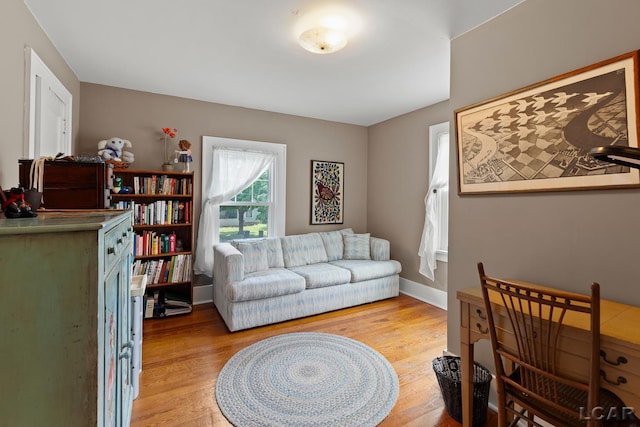1044 Michigan Ave, Adrian, MI 49221 - living area with light wood finished floors