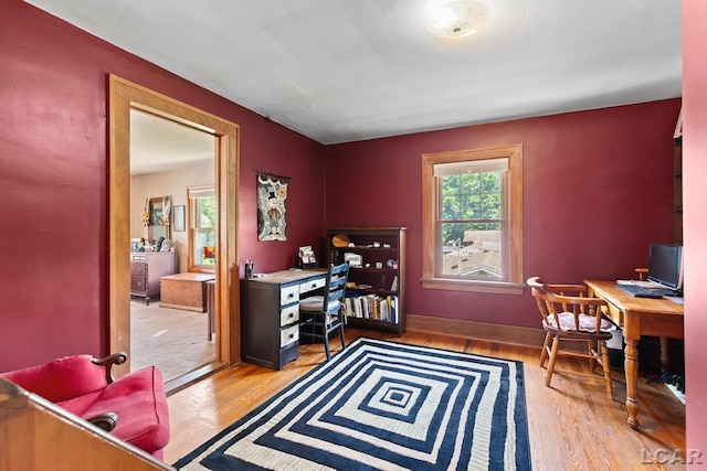 1044 Michigan Ave, Adrian, MI 49221 - office space with wood finished floors and baseboards