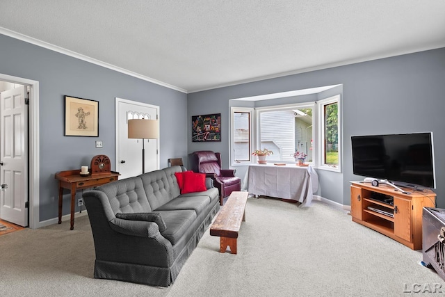 1044 Michigan Ave, Adrian, MI 49221 - carpeted living room featuring ornamental molding and baseboards