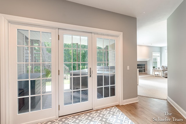 5264 Deverman Ct NE, Lowell, MI 49331 - doorway featuring wood finished floors and a tile fireplace