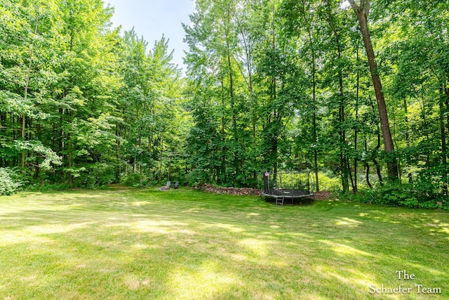 5264 Deverman Ct NE, Lowell, MI 49331 - view of green lawn featuring a trampoline and a wooded view