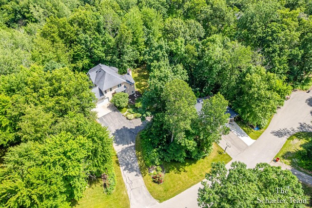 5264 Deverman Ct NE, Lowell, MI 49331 - drone / aerial view