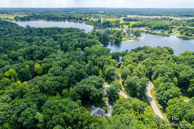 5264 Deverman Ct NE, Lowell, MI 49331 - bird's eye view of a large body of water and a heavily wooded area