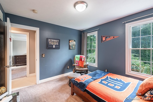 5264 Deverman Ct NE, Lowell, MI 49331 - carpeted bedroom featuring baseboards