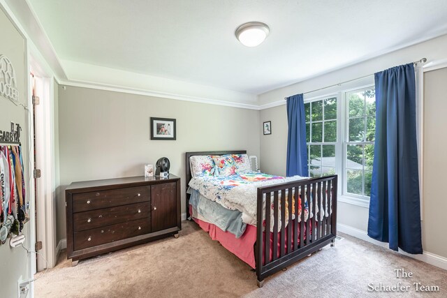 5264 Deverman Ct NE, Lowell, MI 49331 - carpeted bedroom featuring baseboards