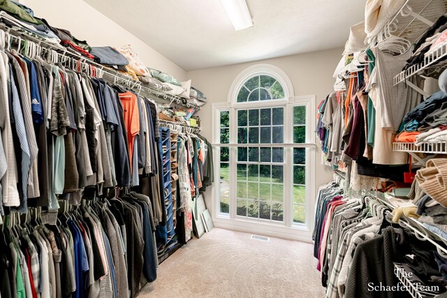 5264 Deverman Ct NE, Lowell, MI 49331 - walk in closet featuring carpet