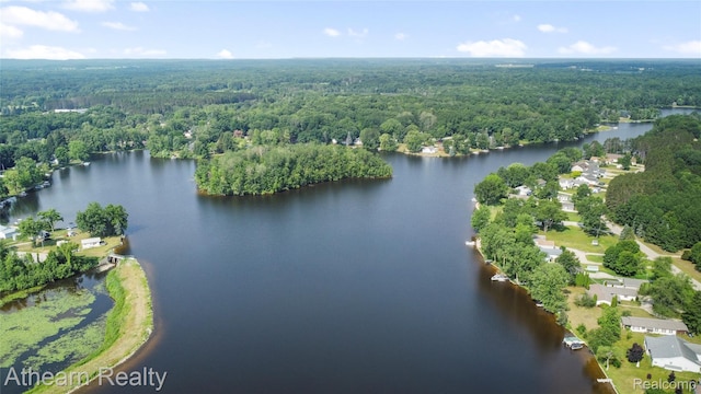 6600 W Shore Dr, Weidman, MI 48893 - aerial overview of property's location with a forest and a large body of water