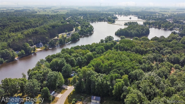 6600 W Shore Dr, Weidman, MI 48893 - aerial overview of property's location with a large body of water