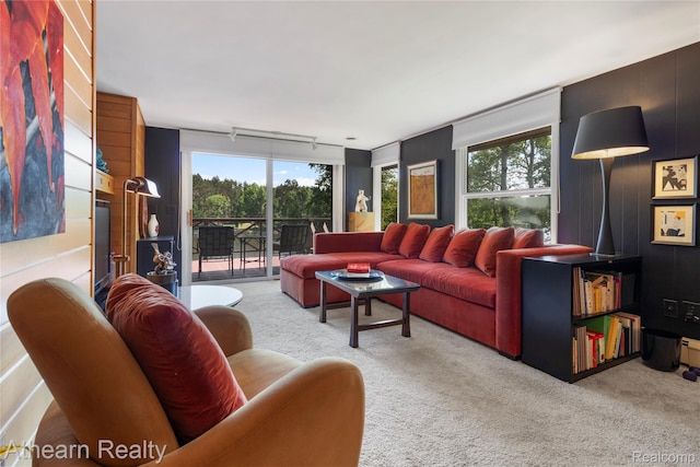 6600 W Shore Dr, Weidman, MI 48893 - living room with carpet flooring and track lighting