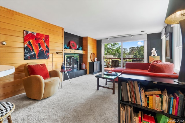 6600 W Shore Dr, Weidman, MI 48893 - carpeted living area featuring wooden walls and track lighting