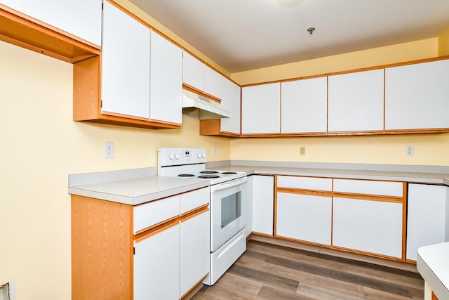 2208 Parkview Ave, Kalamazoo, MI 49008 - kitchen featuring white range with electric cooktop, under cabinet range hood, light countertops, light wood-type flooring, and white cabinets