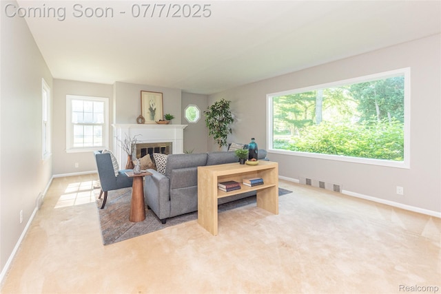 2424 Dayton Dr, Ann Arbor, MI 48108 - photo 19