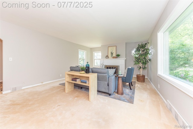 2424 Dayton Dr, Ann Arbor, MI 48108 - photo 20
