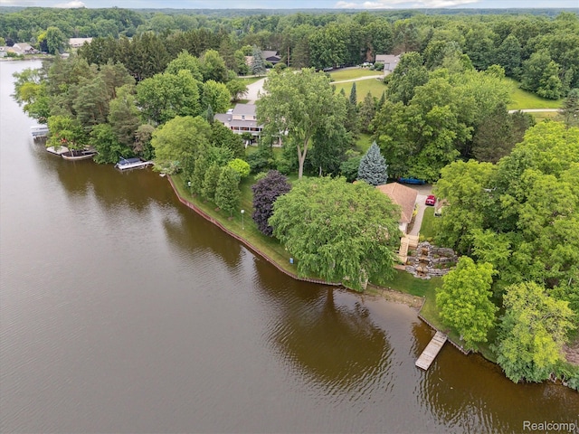 3817 Lake Lapeer Dr, Metamora, MI 48455 - photo 9