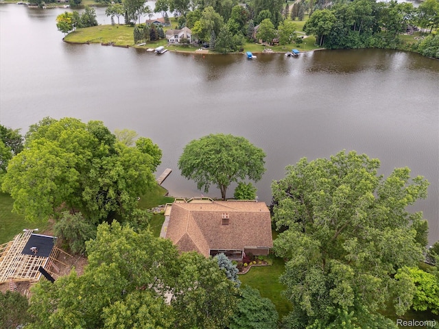 3817 Lake Lapeer Dr, Metamora, MI 48455 - photo 5