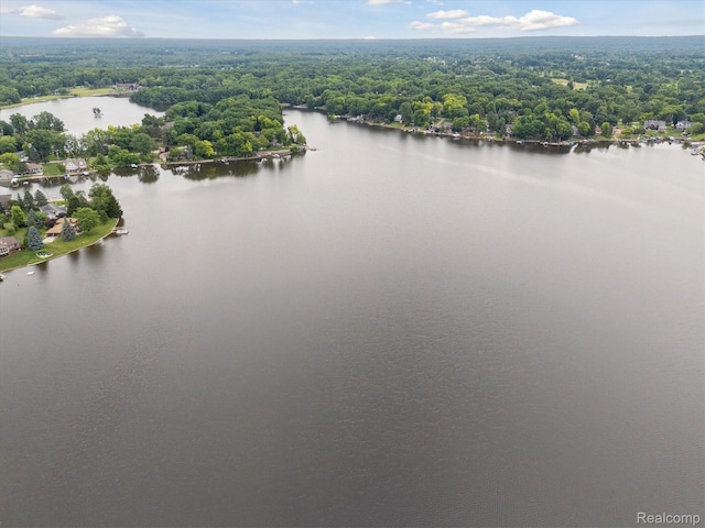 3817 Lake Lapeer Dr, Metamora, MI 48455 - photo 13