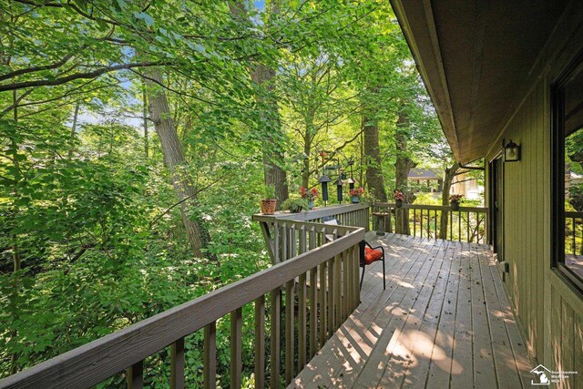6960 Streamview Dr, Lambertville, MI 48144 - photo 29