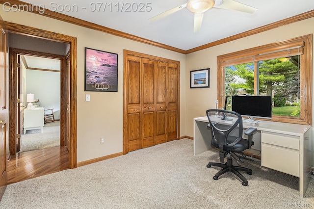 5131 Standish Dr, Troy, MI 48085 - carpeted home office featuring ceiling fan and crown molding