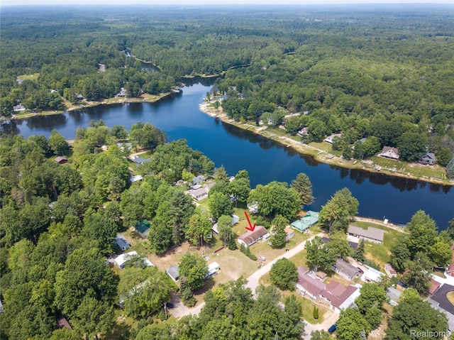 4175 Cherokee St, Gladwin, MI 48624 - view of property location featuring a forest and a nearby body of water