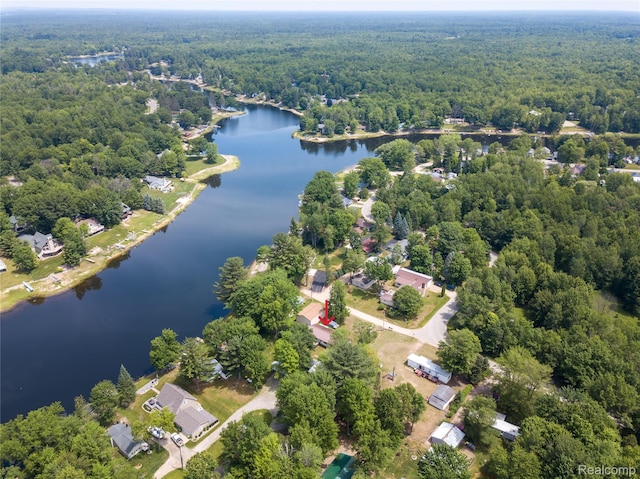 4175 Cherokee St, Gladwin, MI 48624 - drone / aerial view of a heavily wooded area and a nearby body of water