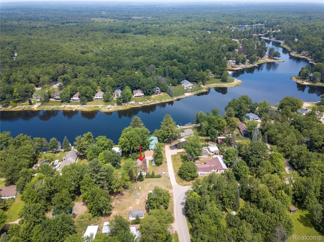 4175 Cherokee St, Gladwin, MI 48624 - drone / aerial view of a forest and a large body of water