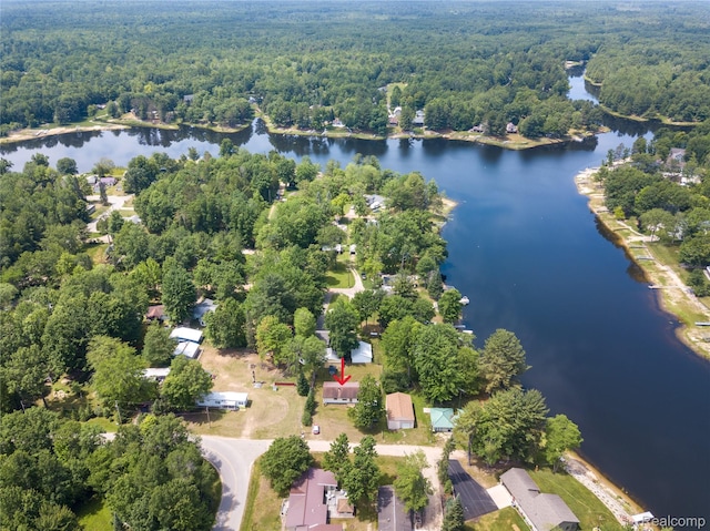 4175 Cherokee St, Gladwin, MI 48624 - drone / aerial view of a heavily wooded area and a nearby body of water