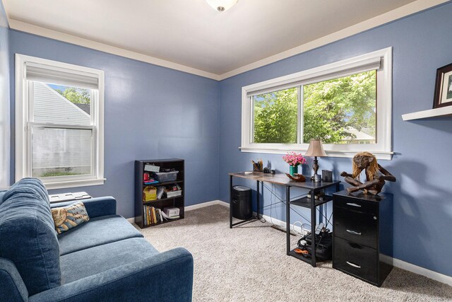 10351 Endicott St, Michigan, MI 48111 - carpeted office with plenty of natural light