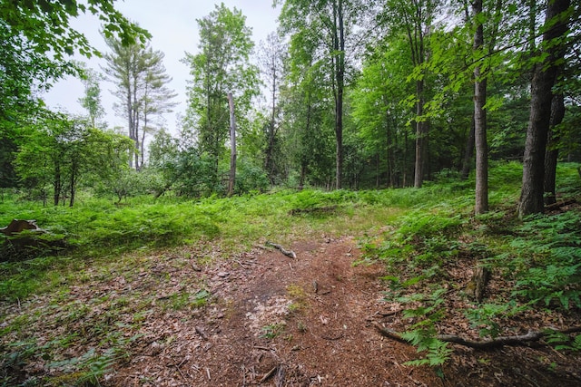 5680 E Shores Dr, Michigan, MI 49411 - view of tree filled area