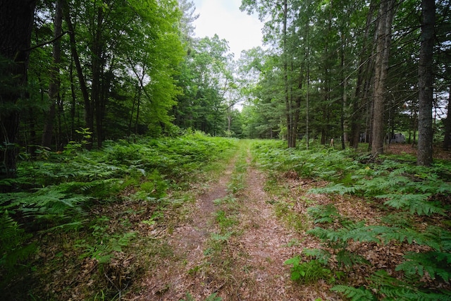 5680 E Shores Dr, Michigan, MI 49411 - view of woods