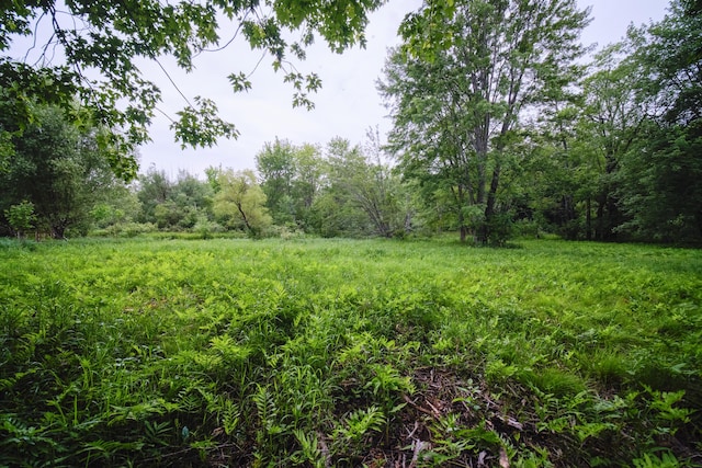 5680 E Shores Dr, Michigan, MI 49411 - view of yard featuring a view of trees