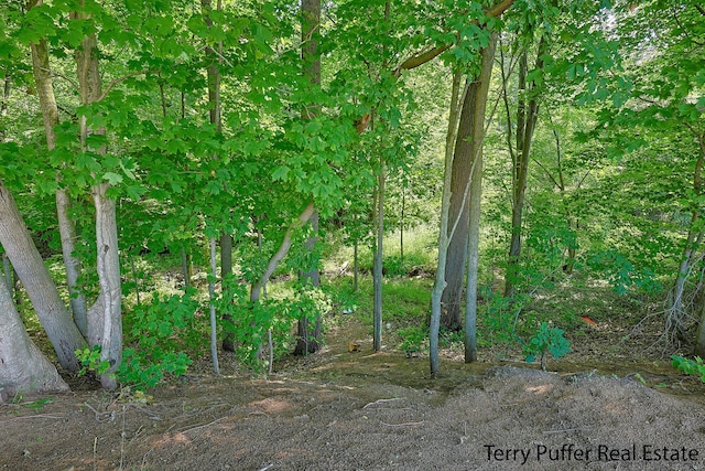 721 17 Mile Rd, Kent City, MI 49330 - view of local wilderness