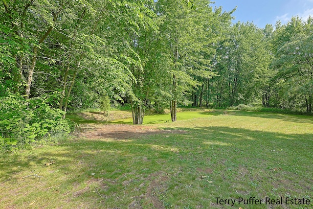 721 17 Mile Rd, Kent City, MI 49330 - view of grassy yard with a wooded view