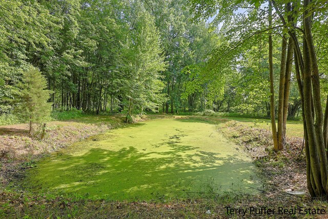 721 17 Mile Rd, Kent City, MI 49330 - view of yard