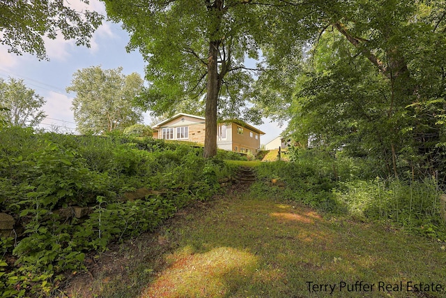 721 17 Mile Rd, Kent City, MI 49330 - view of yard