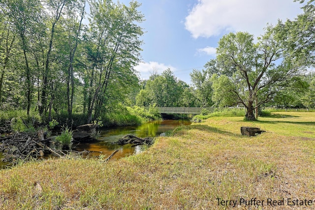 721 17 Mile Rd, Kent City, MI 49330 - view of yard