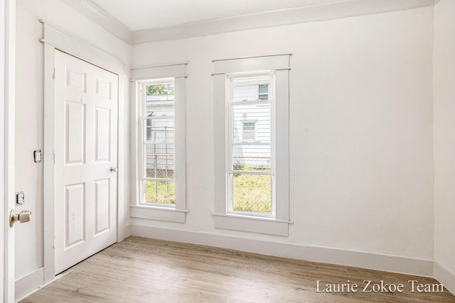 1101 White Ave NW, Grand Rapids, MI 49504 - foyer with healthy amount of natural light, light wood-type flooring, and ornamental molding