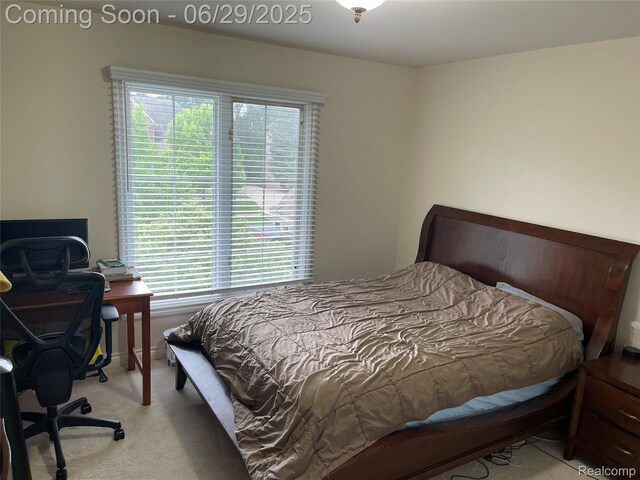 422 Springview Dr, Rochester, MI 48307 - photo 30
