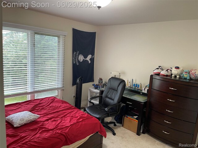 422 Springview Dr, Rochester, MI 48307 - photo 33