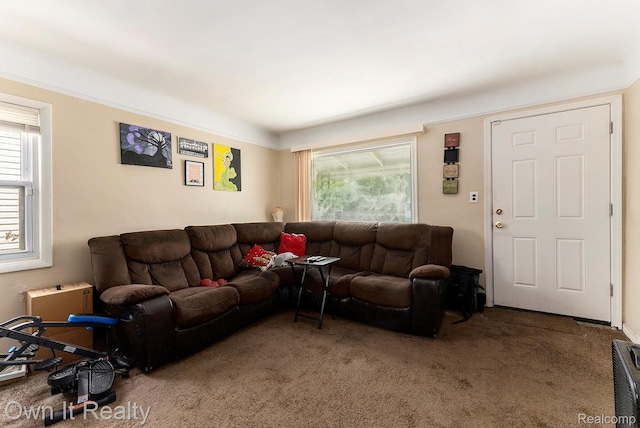 7291 Faust Ave, Westland, MI 48228 - carpeted living area with plenty of natural light