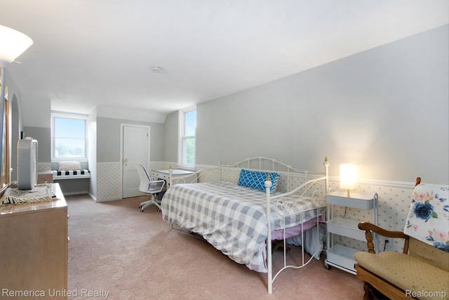 9309 Newburgh Rd, Livonia, MI 48150 - bedroom featuring multiple windows, light carpet, and wainscoting
