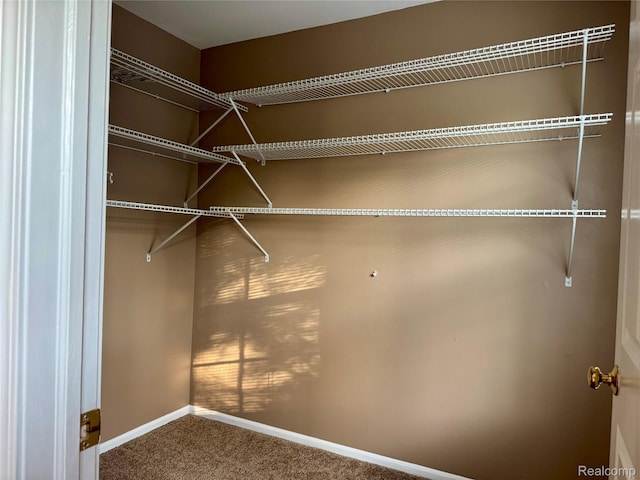 10880 Pardee Rd, Taylor, MI 48180 - photo 25