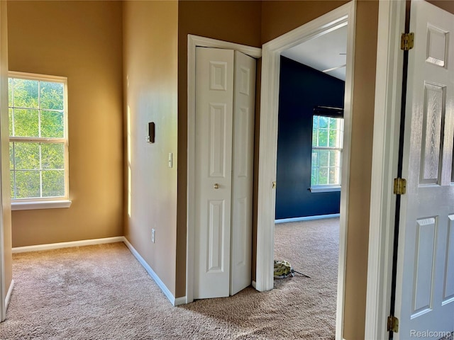 10880 Pardee Rd, Taylor, MI 48180 - photo 19
