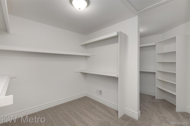 85 Hickory Dr, Troy, MI 48083 - walk in closet with carpet flooring