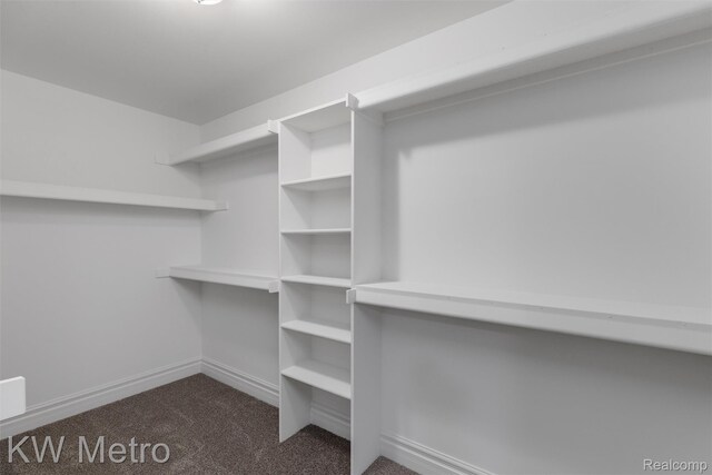 85 Hickory Dr, Troy, MI 48083 - spacious closet featuring carpet flooring