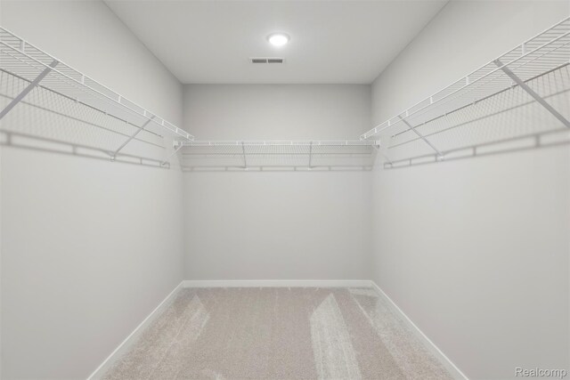 873 Risdon Trl S, Saline, MI 48176 - spacious closet featuring carpet flooring